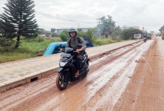 Truk Besar Bikin Tanah Berceceran