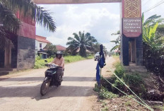 Lubang Besar Itu, Tak Kunjung Diperbaiki