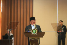 Pemprov Sumsel Telusuri Video Warga Telantar di Kamboja, Herman Deru Imbau Waspada Tawaran Kerja Luar Negeri