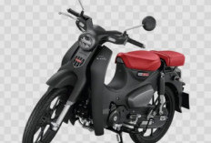 Legenda yang Makin Sempurna! Honda Super Cub C125 2025 Meluncur: Gaya Retro, Mesin Standar Dunia