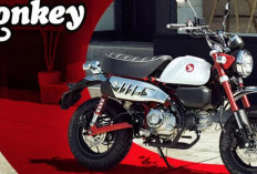 Honda Monkey 2026 Resmi Meluncur: Ikon Retro dengan Sentuhan Modern, Tampil Lebih Gagah dan Canggih