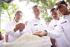 OKI Raih TPID Award, Insentif Fiskal Menanti