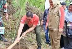 Wako Pagaralam Mulai Program Penanaman 1 Juta Pohon Pinus