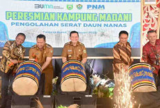 Kampung Madani Serat Nanas Desa Bunut Muara Enim Diresmikan