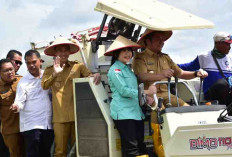 Direksi Pusri Hadiri Panen Raya di OKI