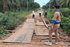 Pemkab Muba segera Perbaiki Jembatan Desa Warga Mulya 