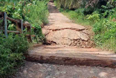 Jembatan Penghubung Dua Desa Butuh Perbaikan Cepat