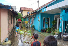 Banjir Tak Kunjung Surut, ini Penyebabnya