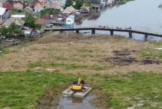 Alat Berat Bersihkan Gulma di Jembatan Belanti
