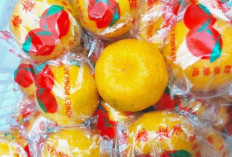 Jeruk Mandarin Khas Imlek: Simbol Keberuntungan, Kekayaan, dan Kemakmuran yang Selalu Bertumbuh