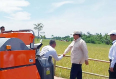 Dongkrak Semangat Petani, Mentan Ajukan Tambahan Pupuk dan Perbaikan Irigasi