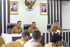 Dorong Pemanfaatan Lahan Tak Produktif di Desa