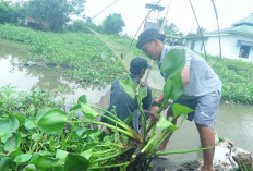 Investasi Jangka Panjang, UMKM Ankubas Binaan Kilang Pertamina Plaju, Sulap Eceng Gondok Bernilai Ekonomis 