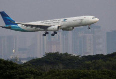 DPR Minta Garuda Perbaiki Kinerja dan Bisa Bagi Dividen