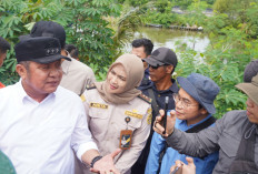 Barantin dan Pemprov Sumsel  Perkuat Rantai Pasok Ekspor Udang OKI