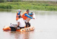 Tabur 10 Ribu Benih Ikan di Boom Berlian