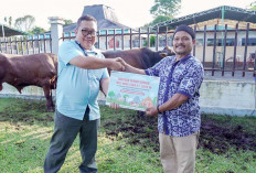 Momen Idul Adha 1446 H, Kilang Pertamina Plaju Berbagi 70 Hewan Kurban Kepada Stakeholder dan Masyarakat Sekit