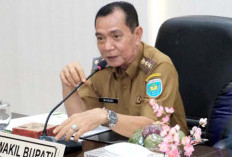 Wakil Bupati OKU Selatan Misnadi Pimpin Entry Meeting BPK