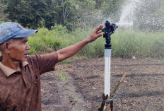 Energi Surya Pertamina: Investasi Hijau yang Menumbuhkan Ekonomi Desa