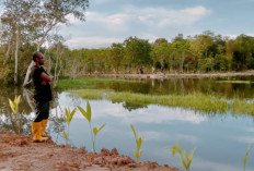  Danau Jodoh Desa Pangkul 