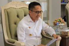 Pemkot Palembang Gaspol Sensus Ekonomi  Akurasi Data Jadi Dasar Pembangunan