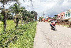 Kabel Listrik Milik PLN Sako Baru Menjuntai ke Bawah Menyentuh Tanah