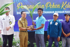 Ratu Dewa Tanam Bibit Pohon Kelapa Secara Serentak, Pemkot Dukung Penuh Program Nasional