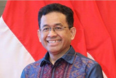 OJK Terima 783 Pengaduan di Sumbagsel