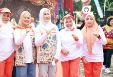 HUT ke-26 DWP Sumsel, DWP Fest Jadi Panggung Kreasi dan Kebersamaan