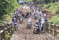 Ratusan Meter Jalan Mirip Kubangan Kerbau