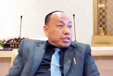 Potensi PAD Pertambangan Sumsel Dinilai Belum Tergarap Maksimal