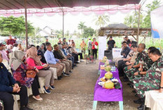 Maksimalkan Penyerapan Gabah Petani, Saat Puncak Panen Raya