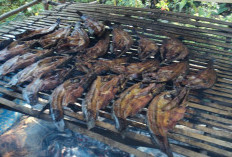 Rahasia Resep Pindang Ikan Salai yang Lezat Ala Masyarakat Lais MUBA