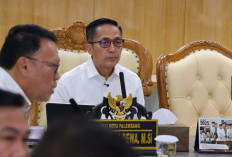  Ribuan Honorer R3 & R4 Palembang  Diusulkan Jadi Paruh Waktu , Wali Kota Ratu Dewa Ambil Langkah Proaktif! 