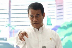 Swasembada Pangan 2025: Indonesia Cetak Sejarah dengan Stok Beras 4 Juta Ton