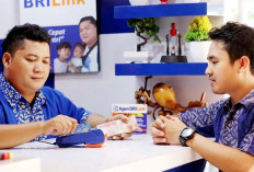 AgenBRILink Catat Transaksi Rp1.145 Triliun, Jadi Ujung Tombak Inklusi Keuangan Hingga Desa
