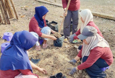 Pertamina Adakan Pelatihan Pertanian Ramah Lingkungan untuk Kelompok Wanita Tani di OKU
