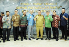 Pilkada Serentak Pj Walikota Palembang Hadiri Raker dan RDP di DPR Pusat Bahas Persiapan Pilkada 2024