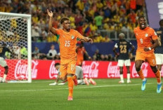 Gol Diallo Menangkan Les Elephants