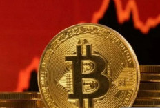 Harga Bitcoin Tembus Rp2 Miliar,  Pelaku Sebut Pasar Kripto Bergairah       