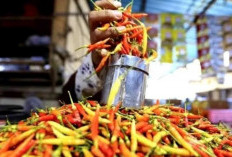 Harga Cabai Rawit Merah Rp 89.350/kg, Telur Ayam Rp32.450/kg