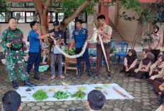 Gelar Persami Korps Kadet RI di Tiga Wilayah