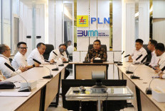 Gerak Cepat Penuhi Kebutuhan Layanan Internet di Sumatera Selatan, Jambi, dan Bengkulu, Ini Langkah PLN 