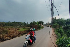 Kabel Internet Menjuntai ke Tanah di Talang Kepuh Membahayakan Warga Melintas