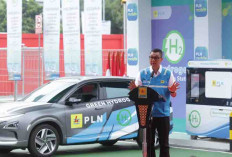 PLN Siapkan Hidrogen jadi Energi Alternatif untuk Kendaraan Masa Depan