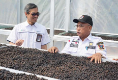 Miliki Value Pusri Hadirkan Program Kopi Tebat Benawa di Pagar Alam