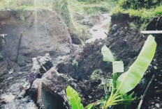 Tanggul Irigasi Bumi Agung Jebol Diterjang Hujan Deras
