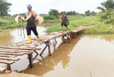 Jembatan Penghubung Dua Jalan Masih Terbuat dari Kayu
