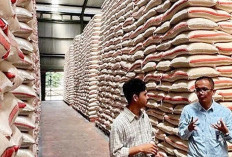 Produksi Beras Nasional 34,7 Juta Ton, Bapanas Klaim RI Surplus Beras 3,52 Juta Ton