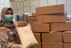 Ekspor 50 Ton Santan Beku dari Sumsel ke China, Karantina Sumsel Pastikan Mutu Produk
